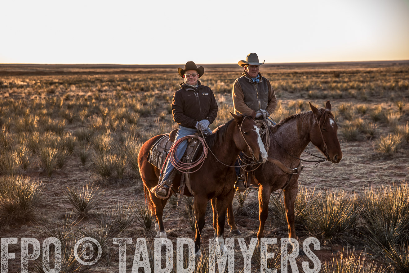 TMyers_WardRanch_NM_Dec2019-44361