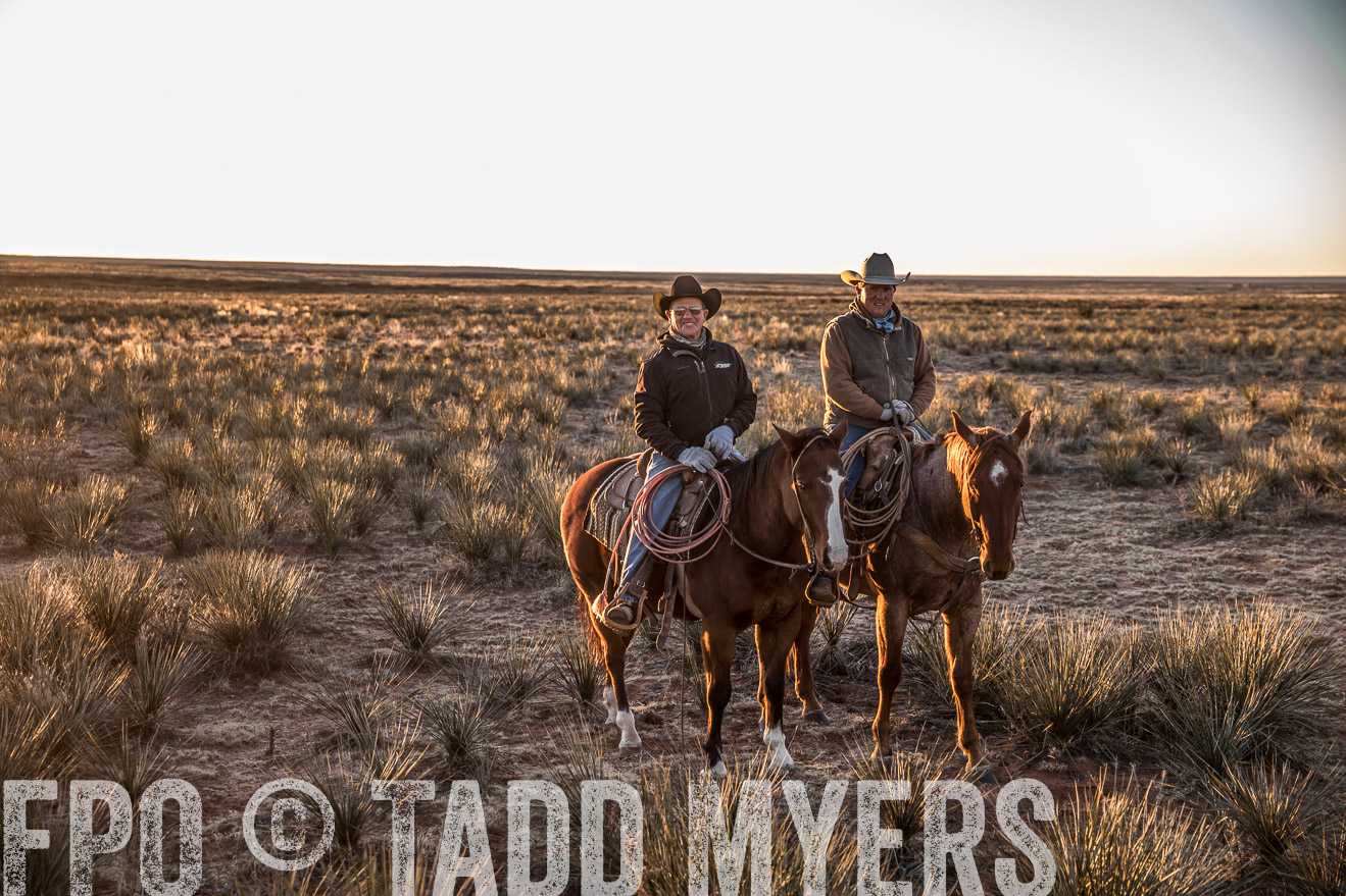  TMyers_WardRanch_NM_Dec2019-44374