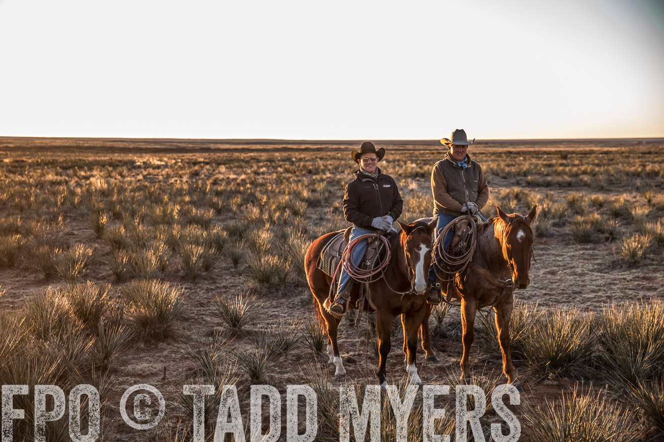  TMyers_WardRanch_NM_Dec2019-44377