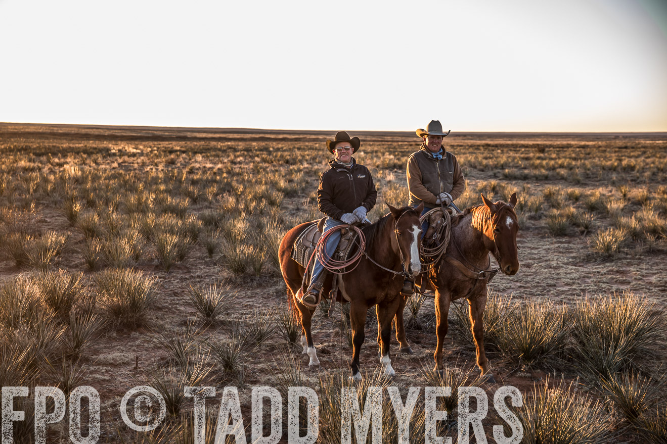  TMyers_WardRanch_NM_Dec2019-44381