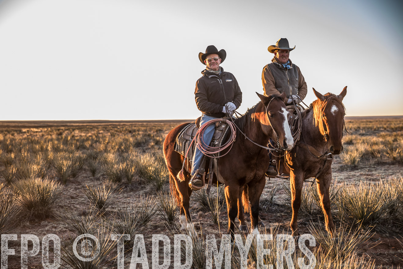 TMyers_WardRanch_NM_Dec2019-44402