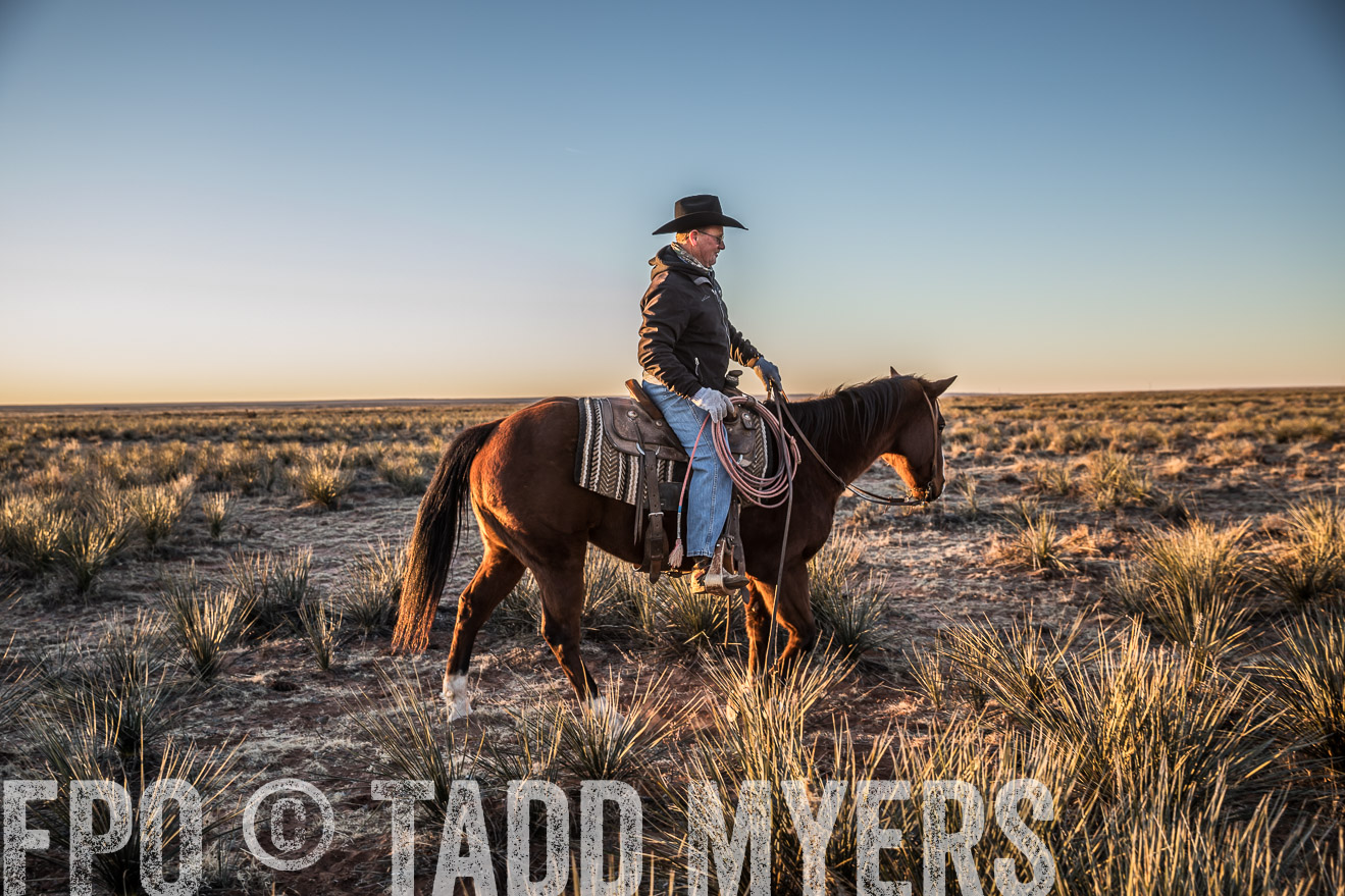  TMyers_WardRanch_NM_Dec2019-44486