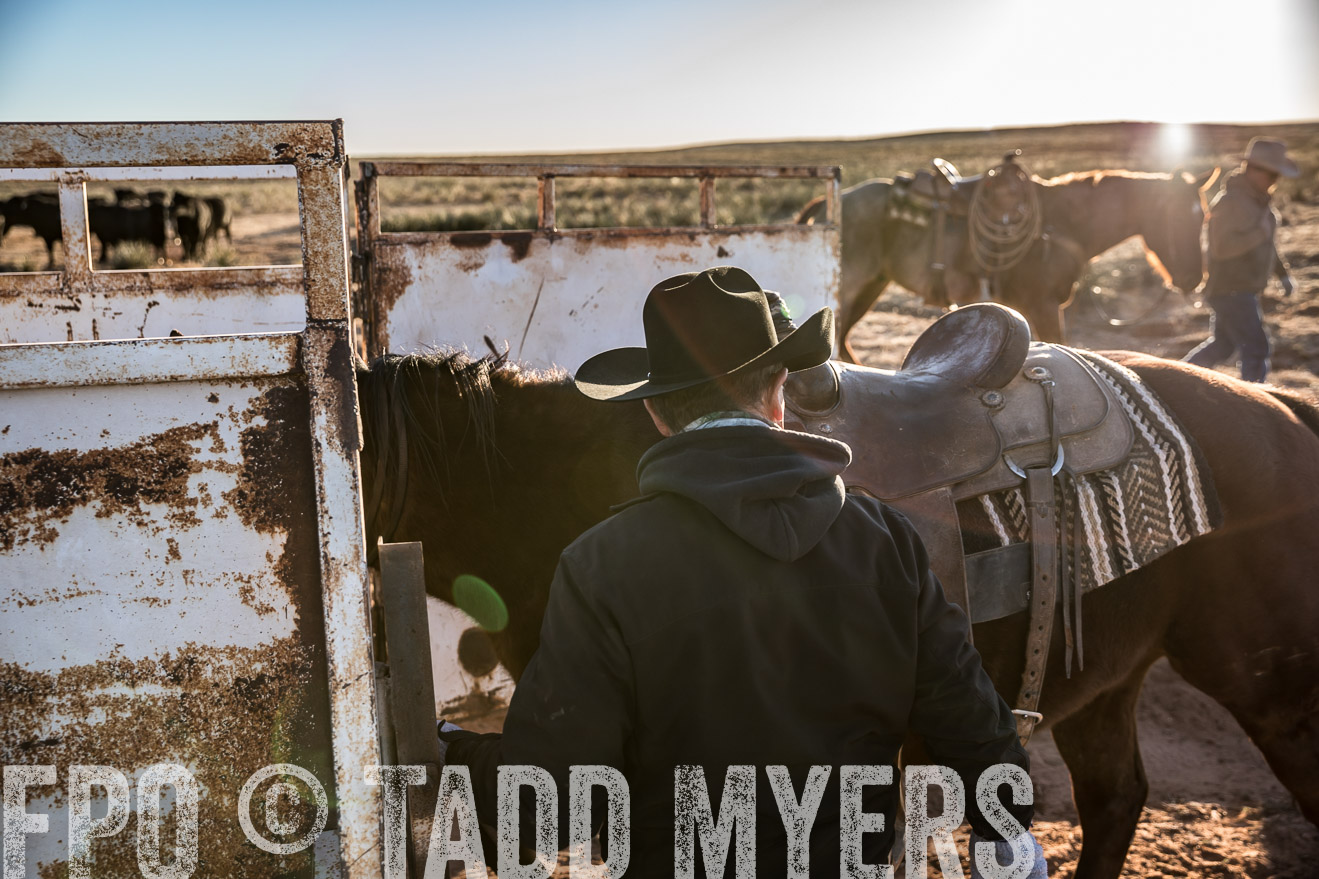  TMyers_WardRanch_NM_Dec2019-45004