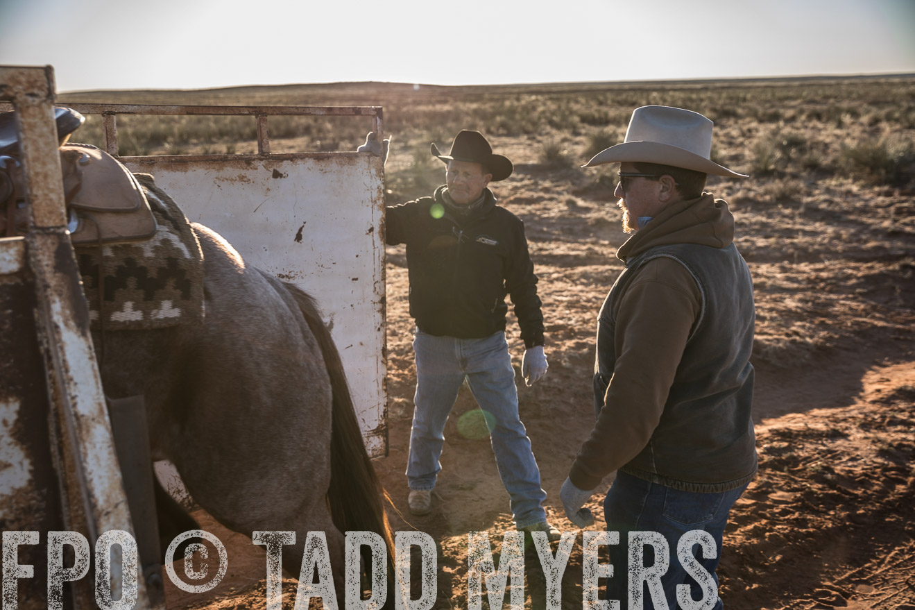  TMyers_WardRanch_NM_Dec2019-45016