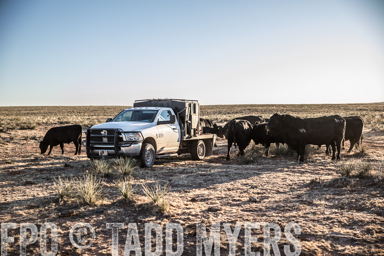  TMyers_WardRanch_NM_Dec2019-45032