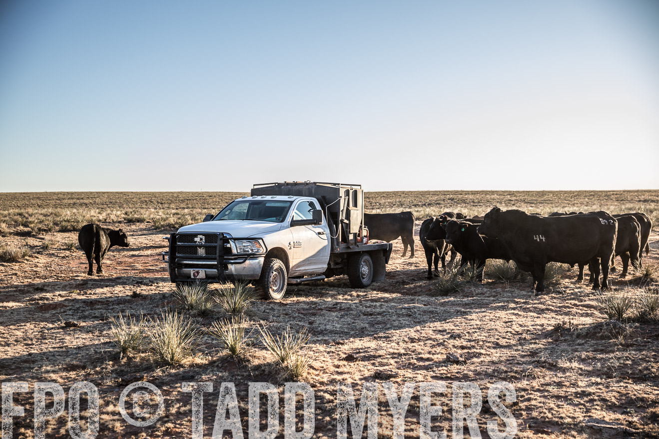  TMyers_WardRanch_NM_Dec2019-45034