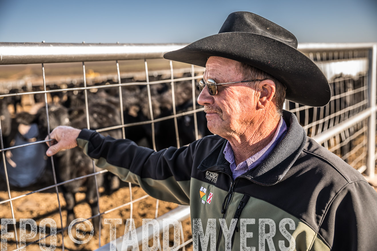  TMyers_WardRanch_NM_Dec2019-43083