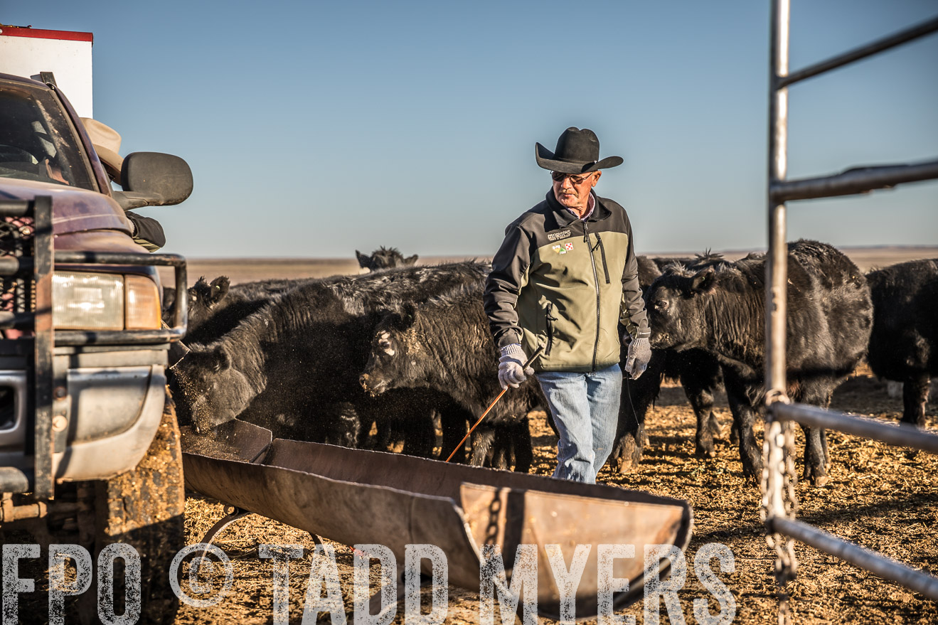 TMyers_WardRanch_NM_Dec2019-43100