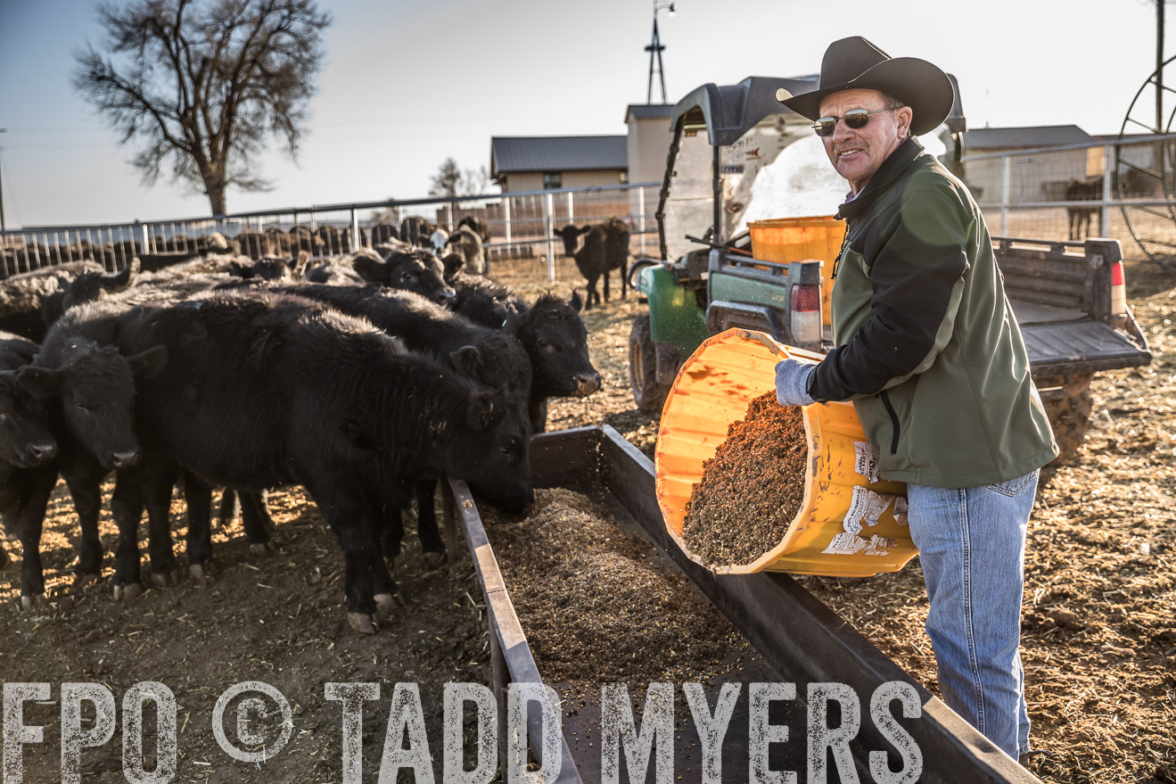  TMyers_WardRanch_NM_Dec2019-43118
