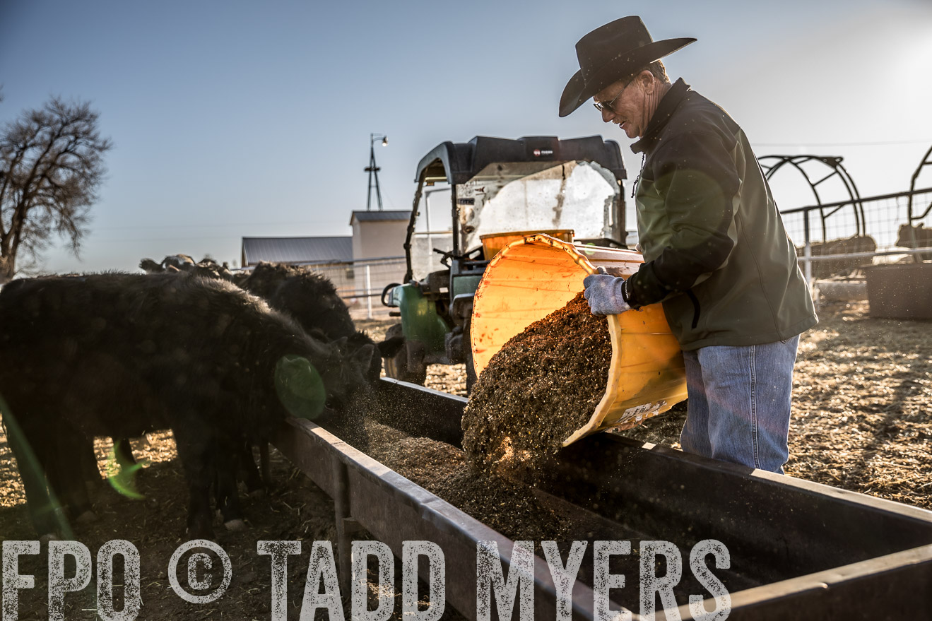  TMyers_WardRanch_NM_Dec2019-43120