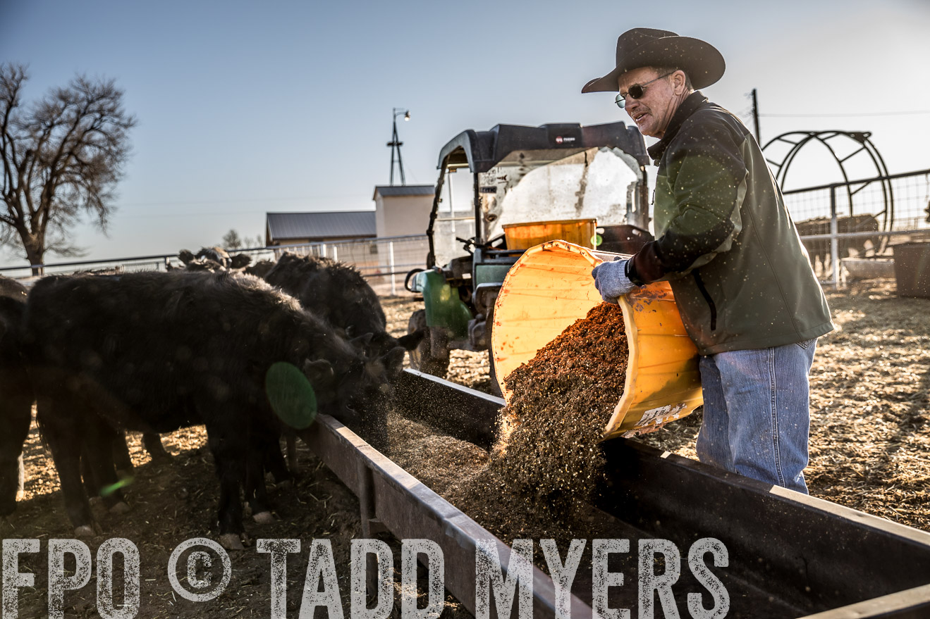  TMyers_WardRanch_NM_Dec2019-43121