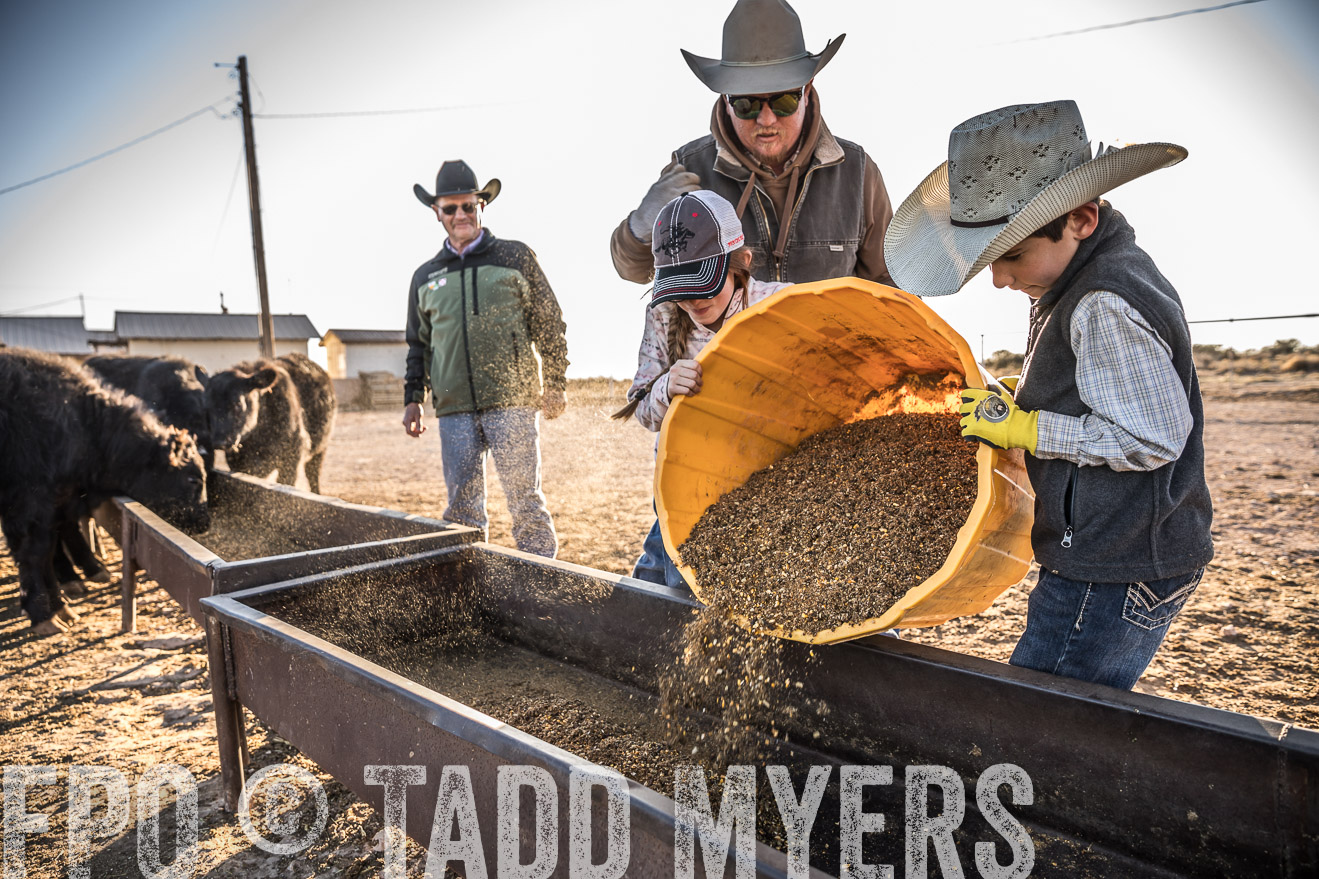  TMyers_WardRanch_NM_Dec2019-43218