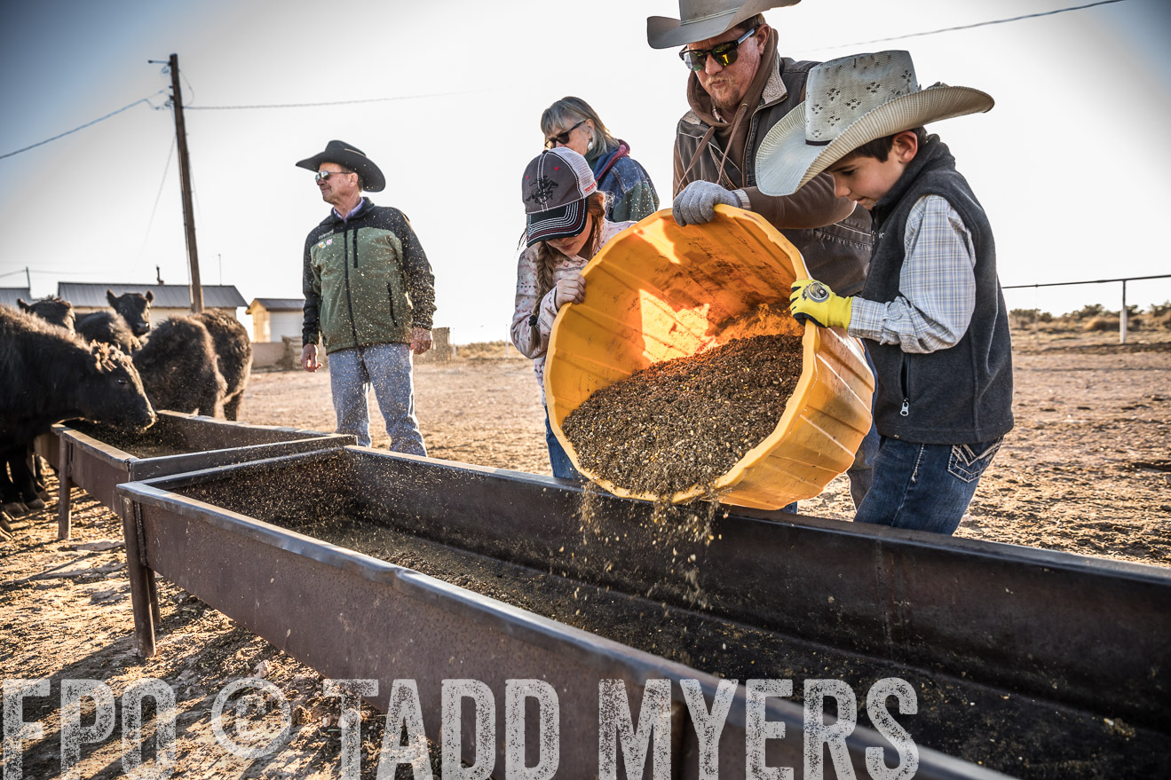  TMyers_WardRanch_NM_Dec2019-43221