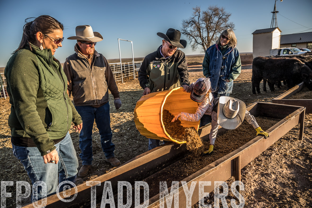  TMyers_WardRanch_NM_Dec2019-43286