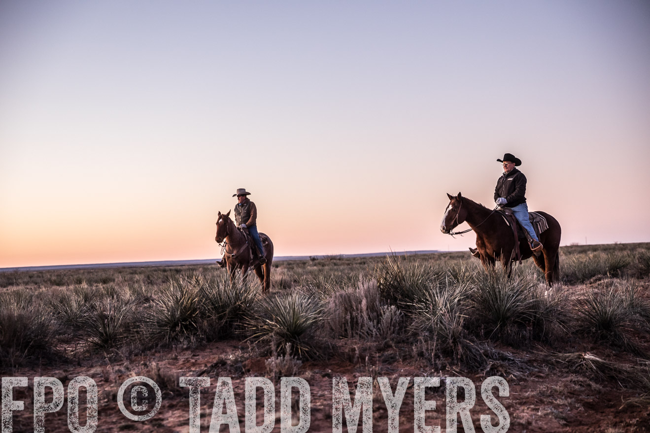  TMyers_WardRanch_NM_Dec2019-43853