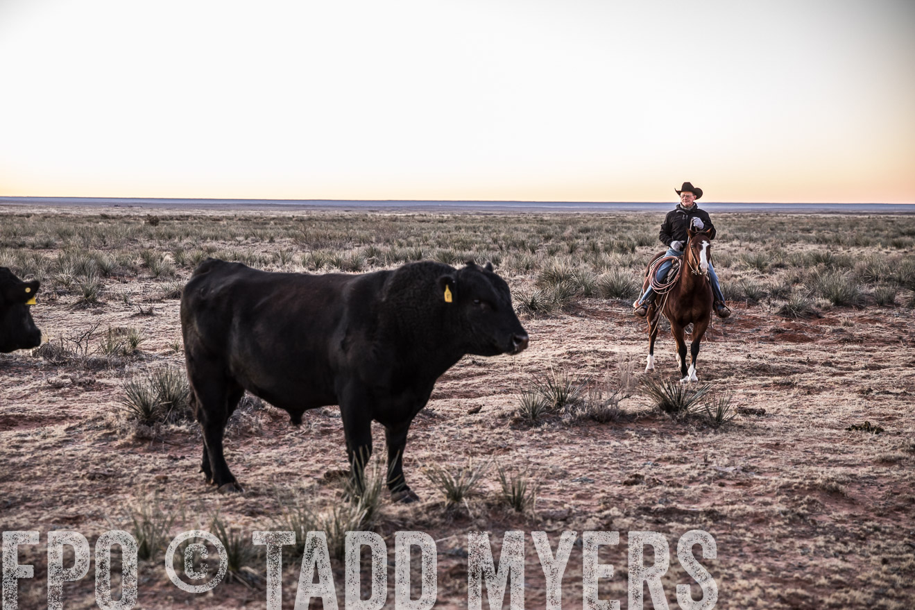  TMyers_WardRanch_NM_Dec2019-44034