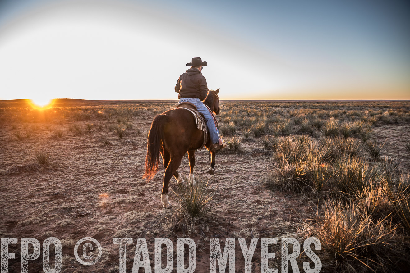  TMyers_WardRanch_NM_Dec2019-44224