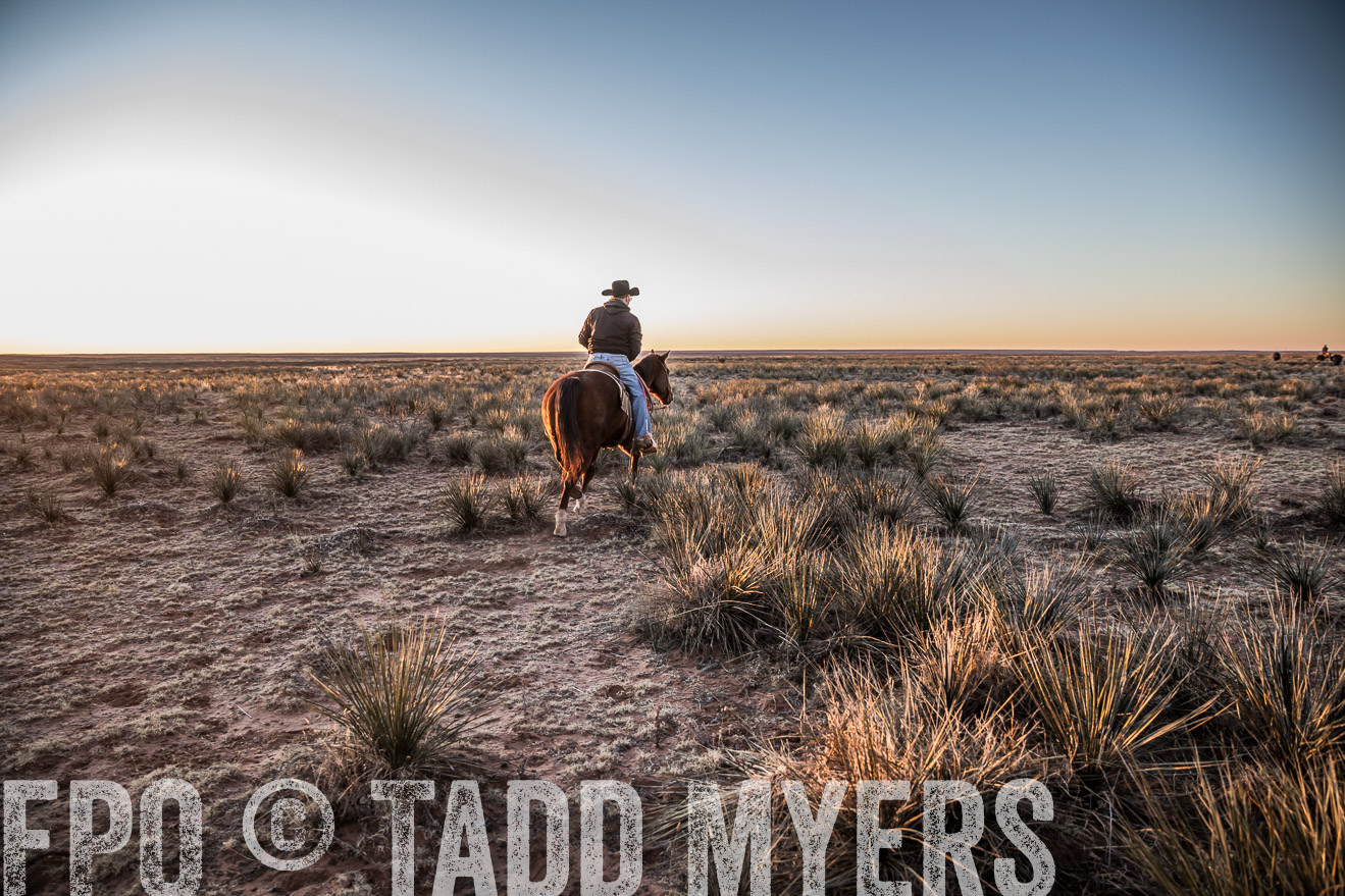  TMyers_WardRanch_NM_Dec2019-44226