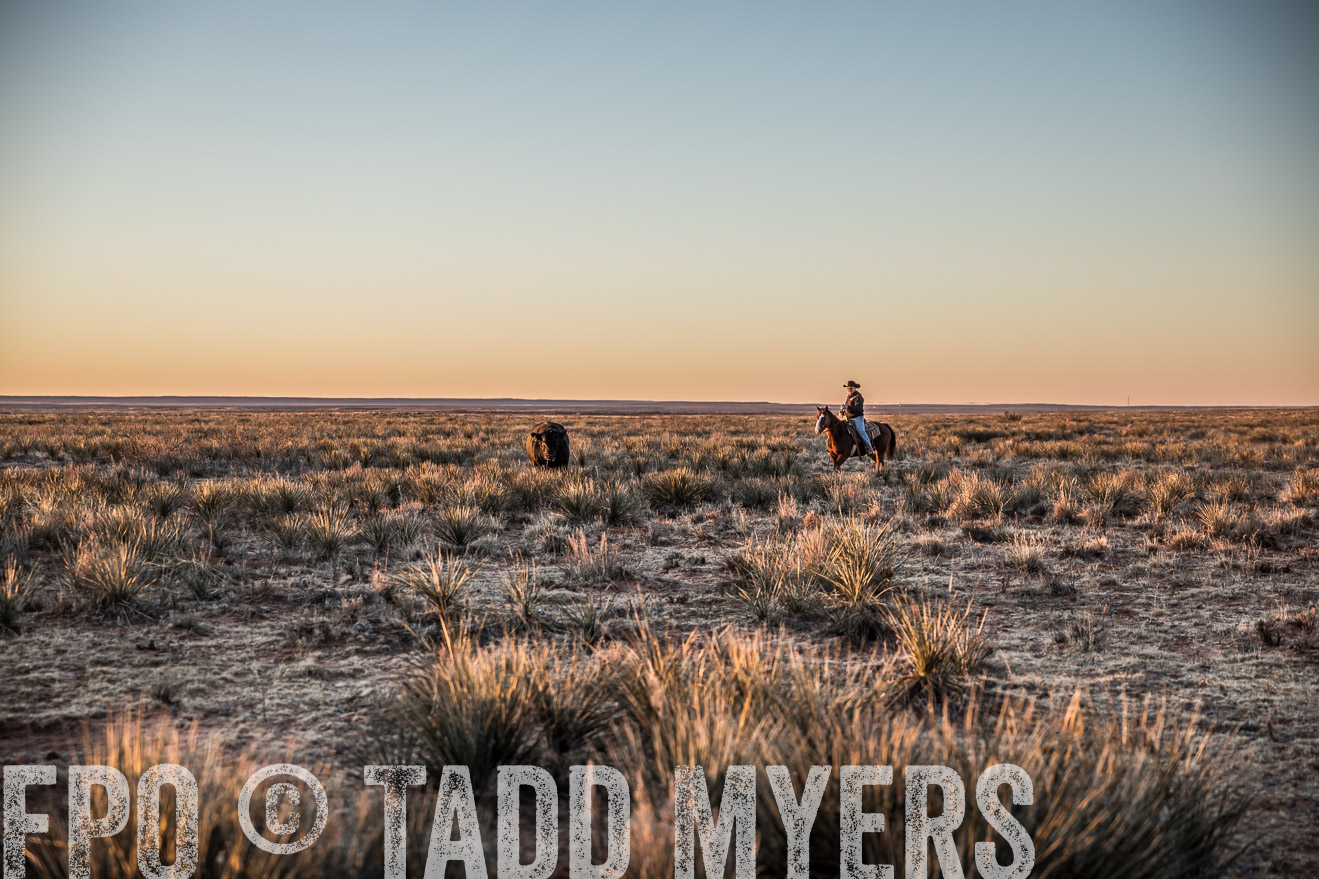  TMyers_WardRanch_NM_Dec2019-44252