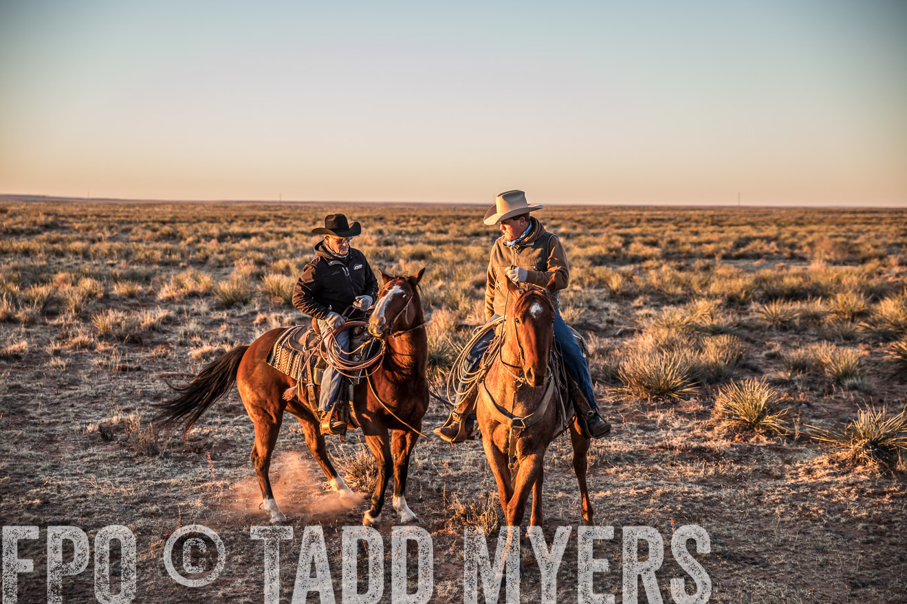  TMyers_WardRanch_NM_Dec2019-44339