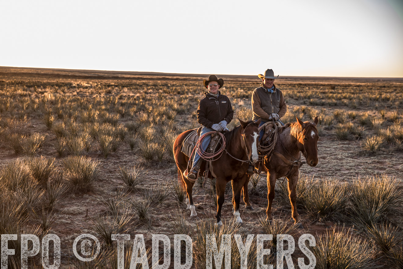  TMyers_WardRanch_NM_Dec2019-44379