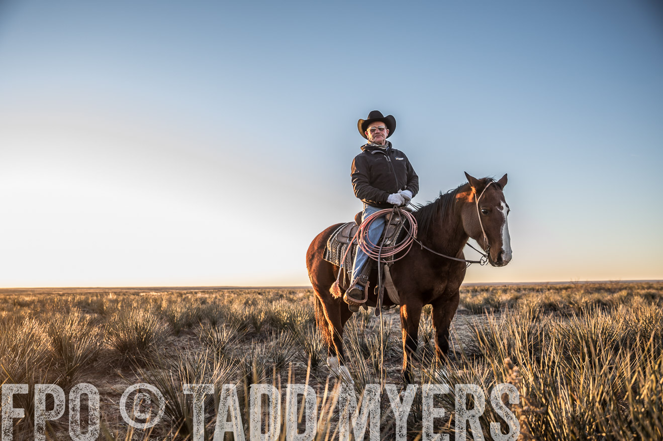  TMyers_WardRanch_NM_Dec2019-44456