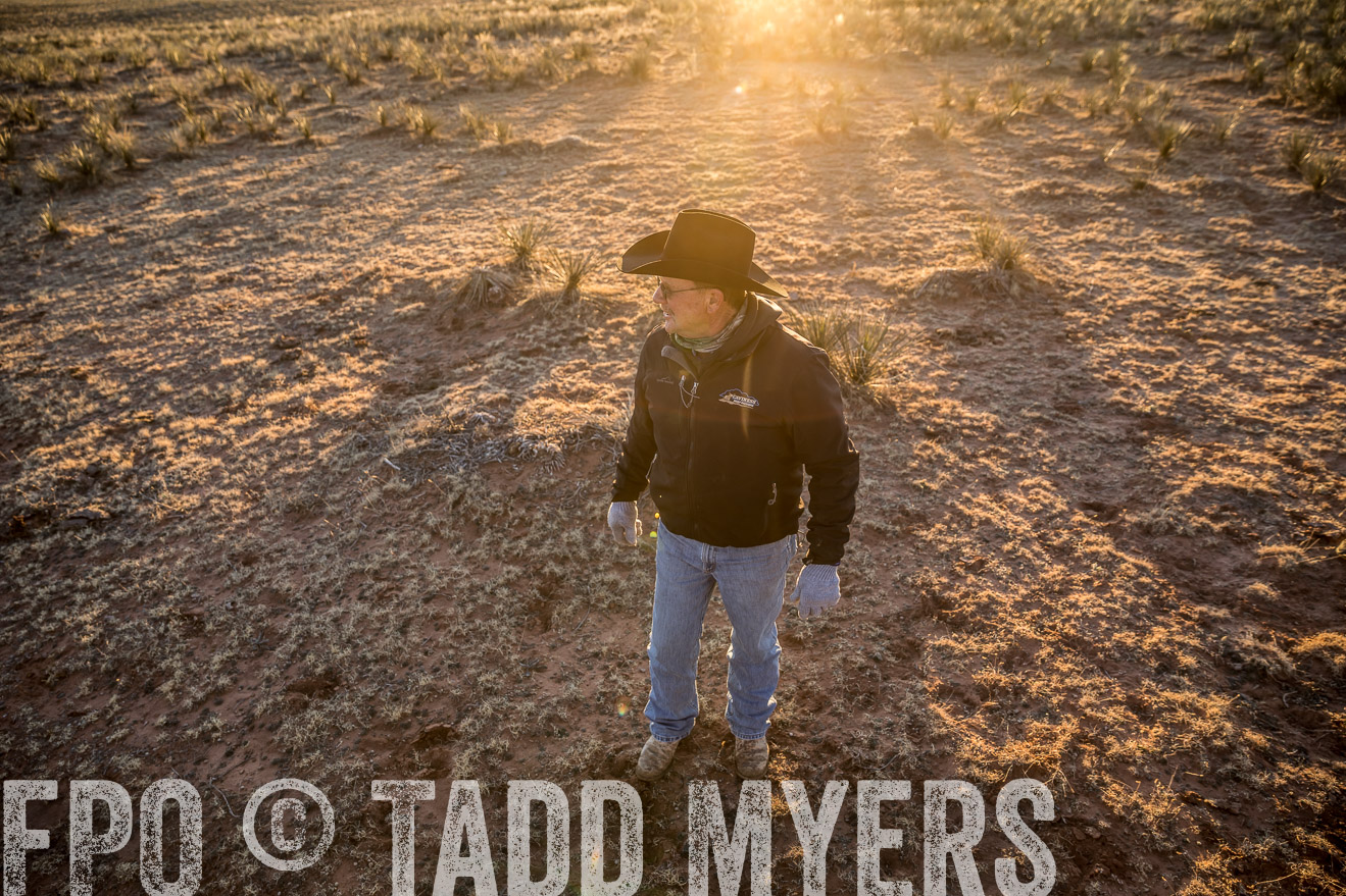  TMyers_WardRanch_NM_Dec2019-44637