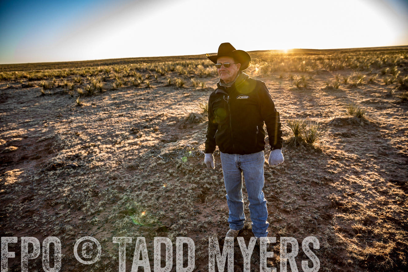  TMyers_WardRanch_NM_Dec2019-44644