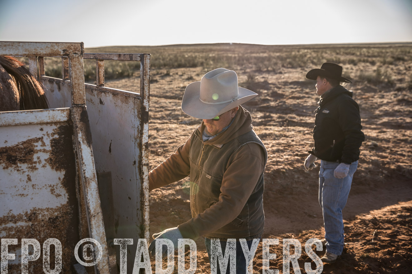  TMyers_WardRanch_NM_Dec2019-45021