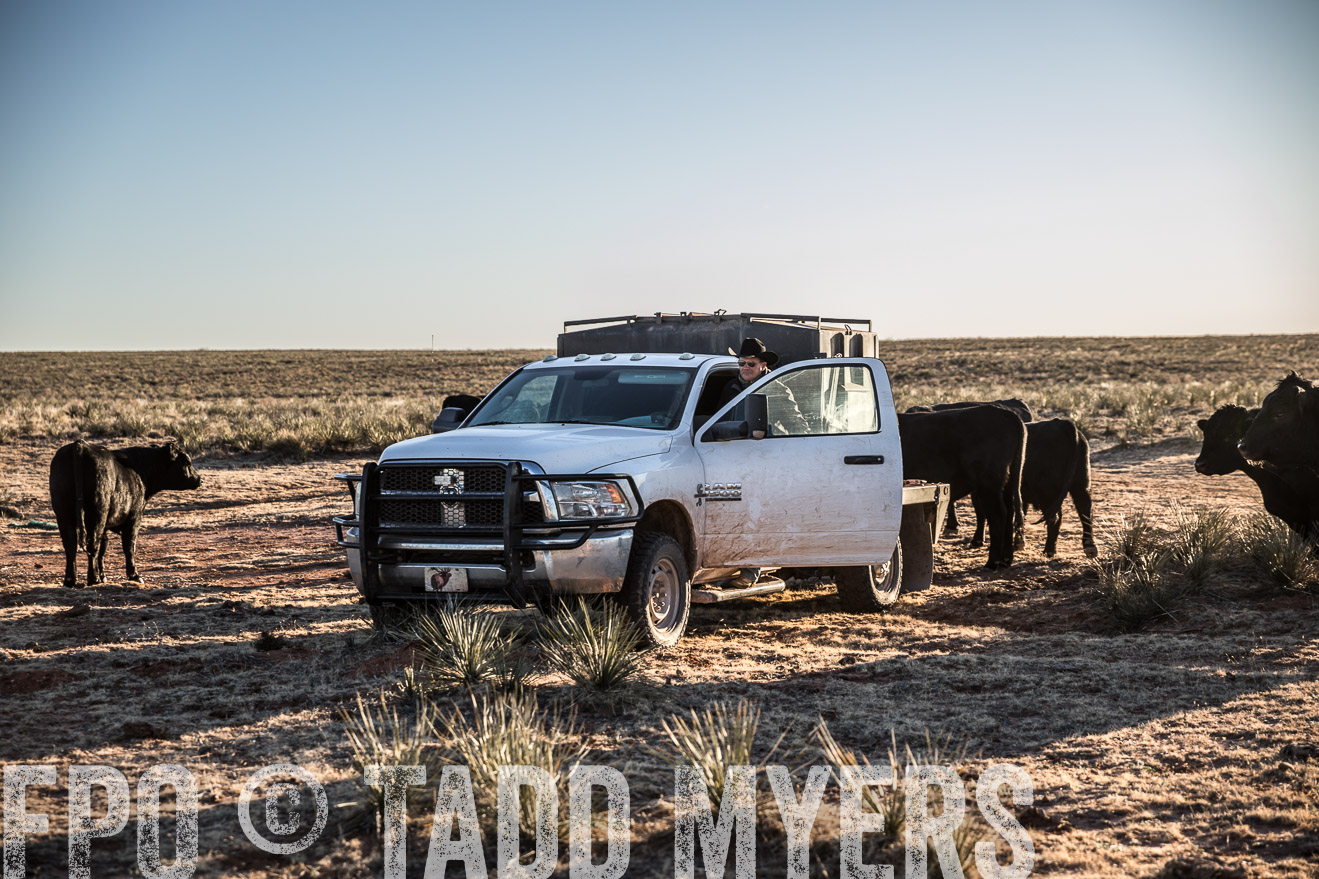  TMyers_WardRanch_NM_Dec2019-45055
