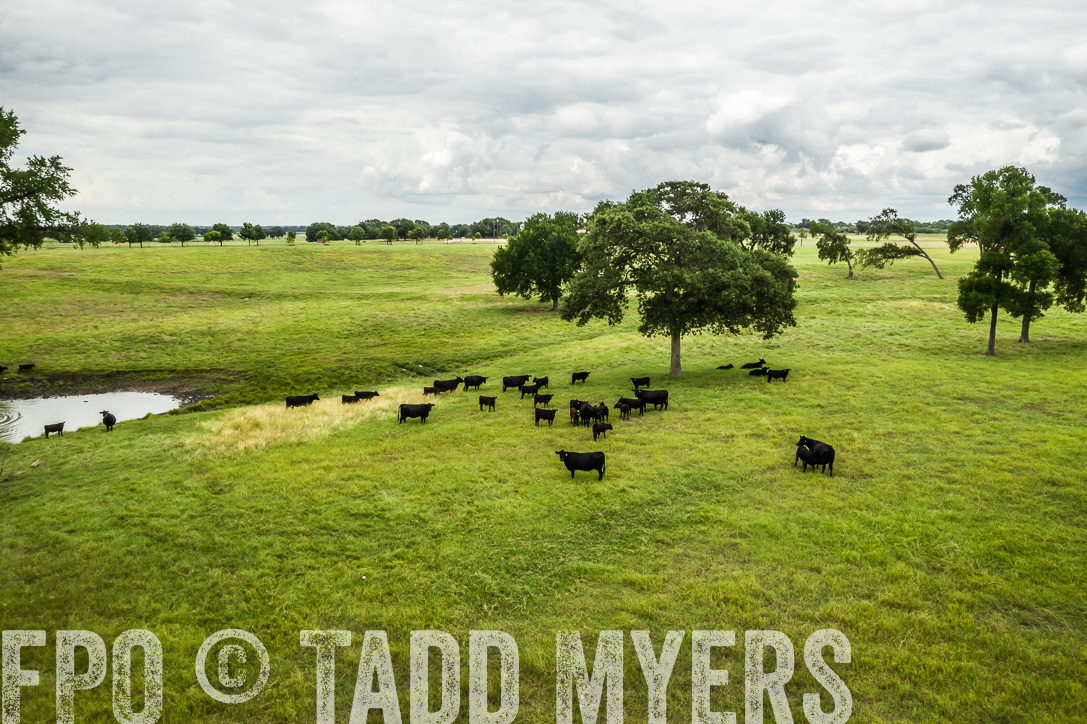 TMyers_44Farms_CameronTX_June2020-0036