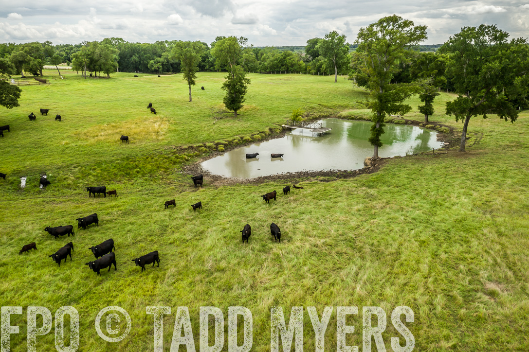 TMyers_44Farms_CameronTX_June2020-0072