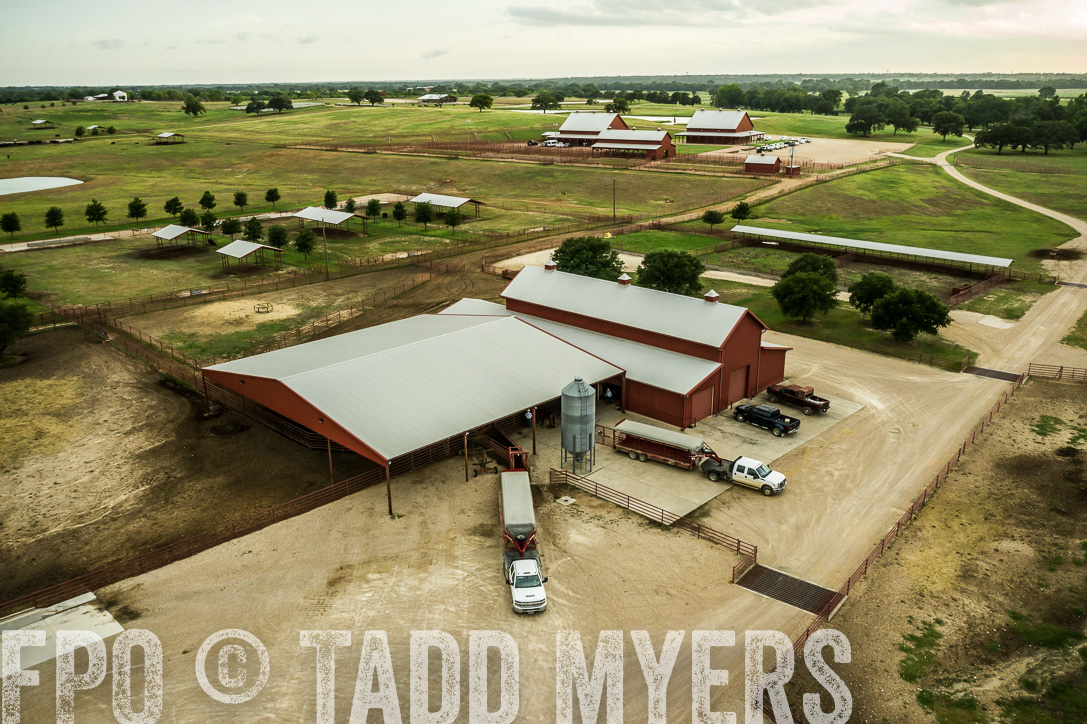 TMyers_44Farms_CameronTX_June2020-0154