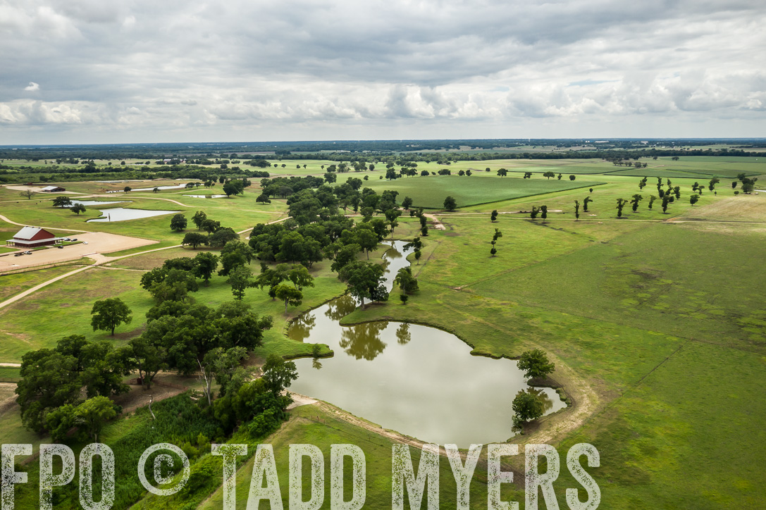 TMyers_44Farms_CameronTX_June2020-0878