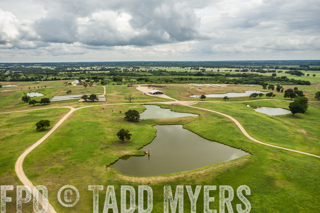 TMyers_44Farms_CameronTX_June2020-0947