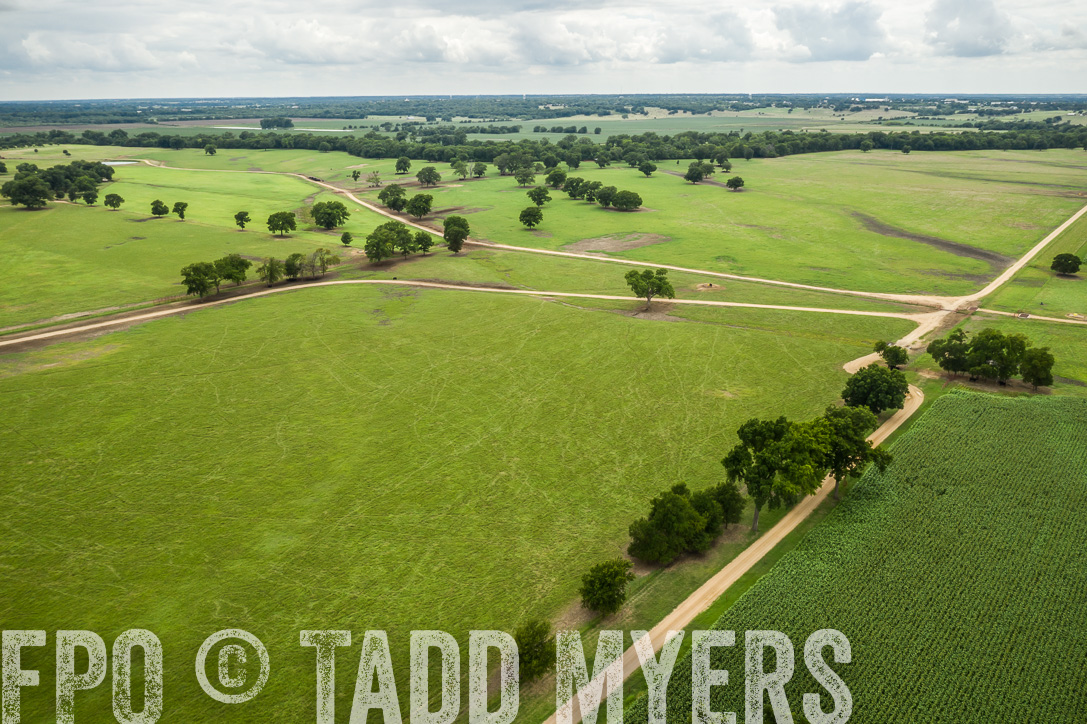 TMyers_44Farms_CameronTX_June2020-0956
