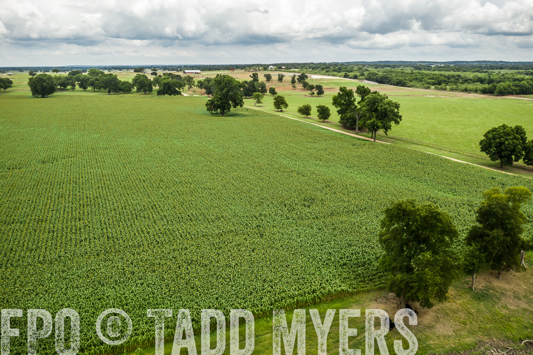 TMyers_44Farms_CameronTX_June2020-0962