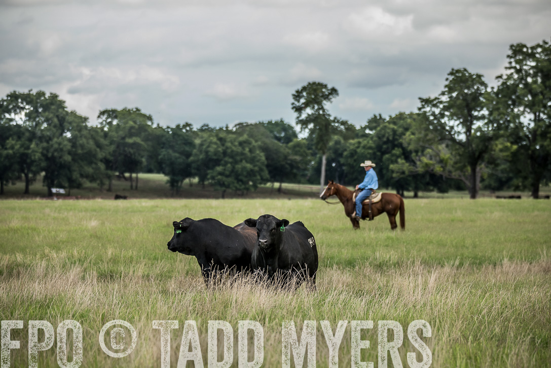 TMyers_44Farms_CameronTX_June2020-40365
