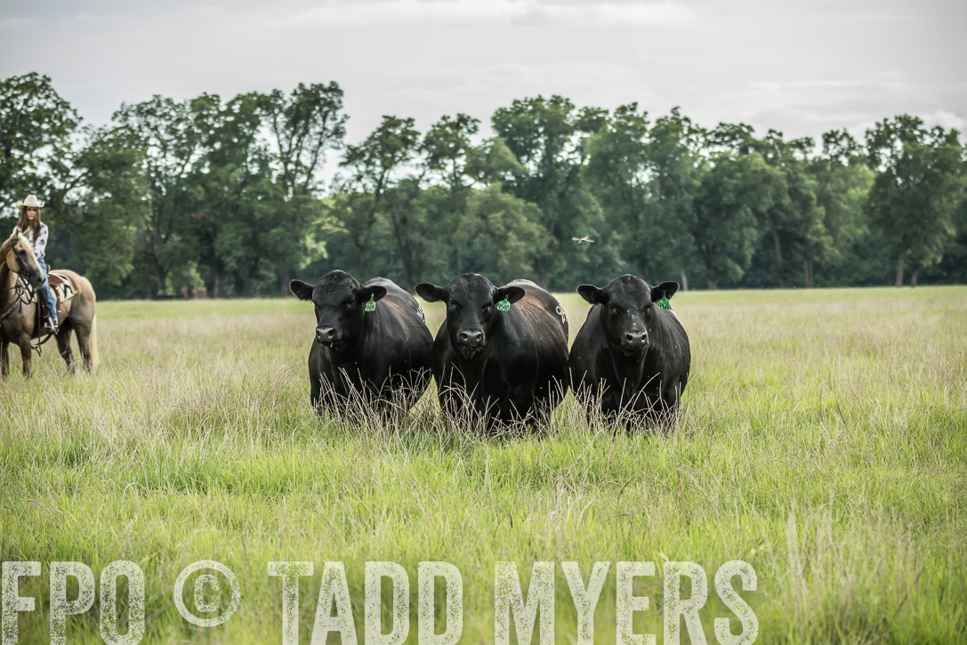 TMyers_44Farms_CameronTX_June2020-49773