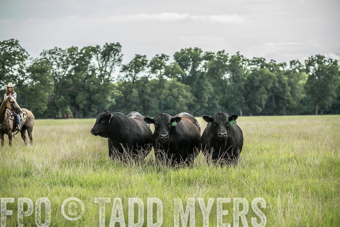 TMyers_44Farms_CameronTX_June2020-49776
