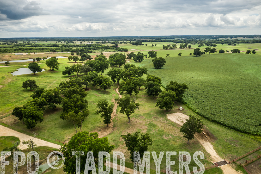 TMyers_44Farms_CameronTX_June2020-0872