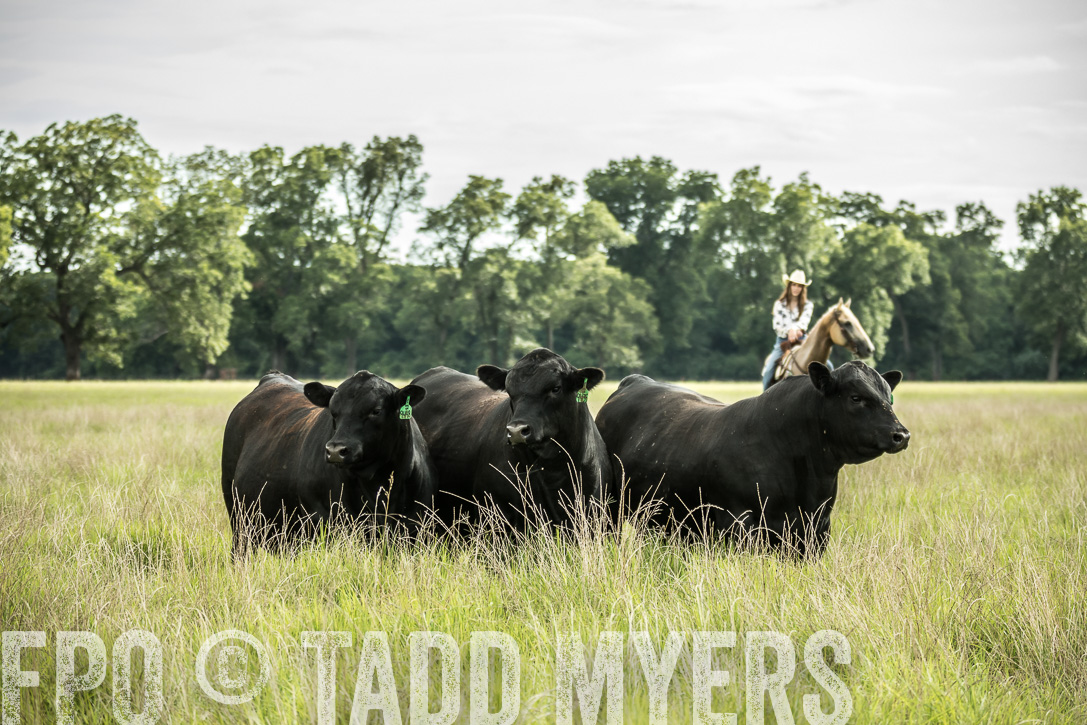 TMyers_44Farms_CameronTX_June2020-49524