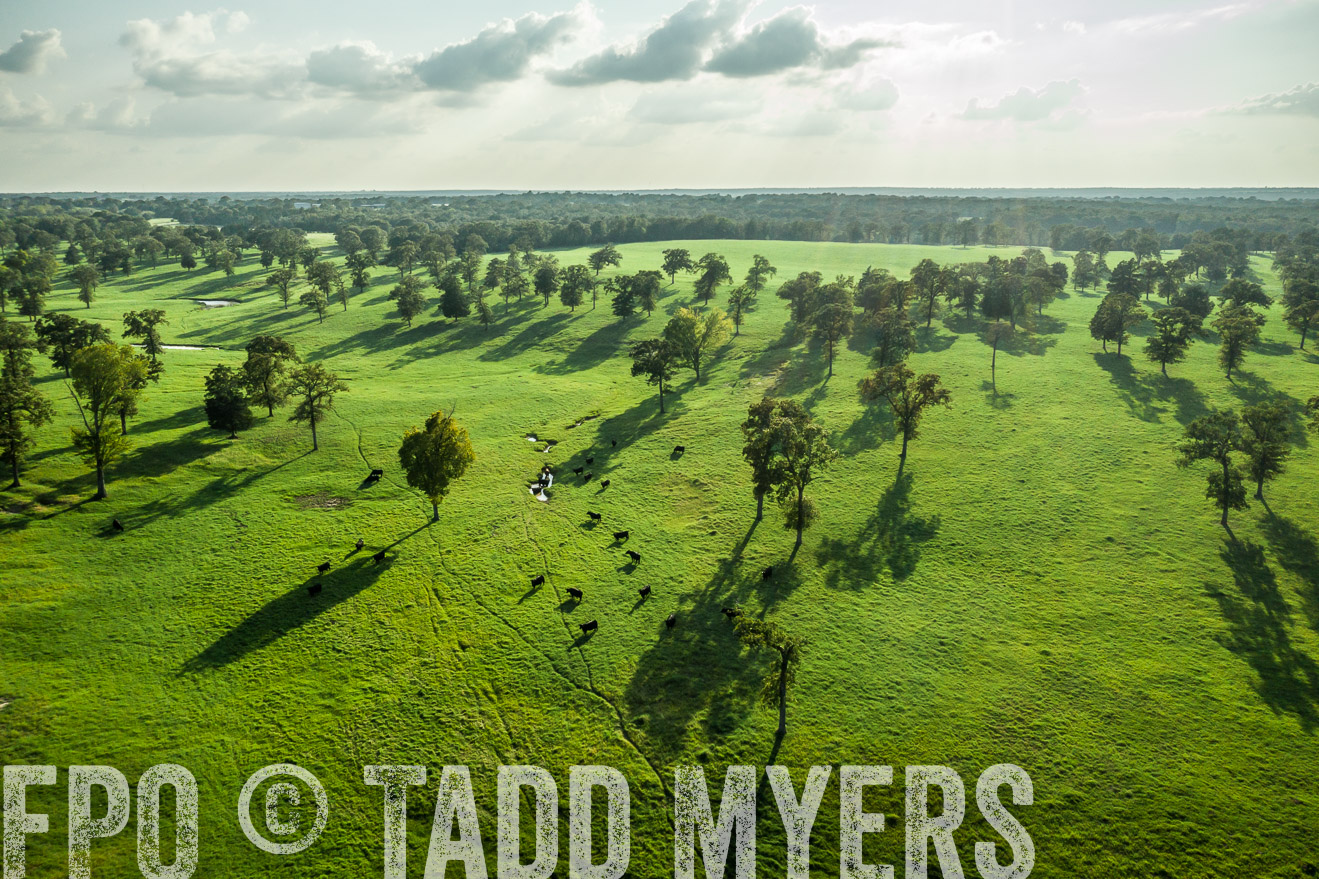 44Farms_CameronTX_Sept2020-0294