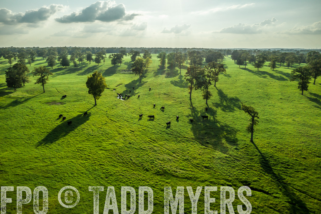 44Farms_CameronTX_Sept2020-0305