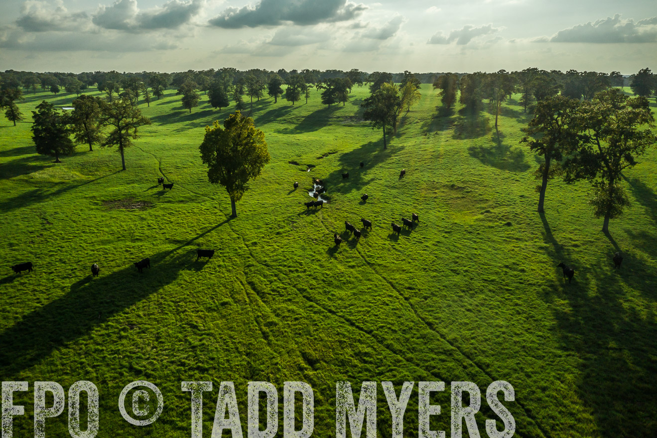 44Farms_CameronTX_Sept2020-0324