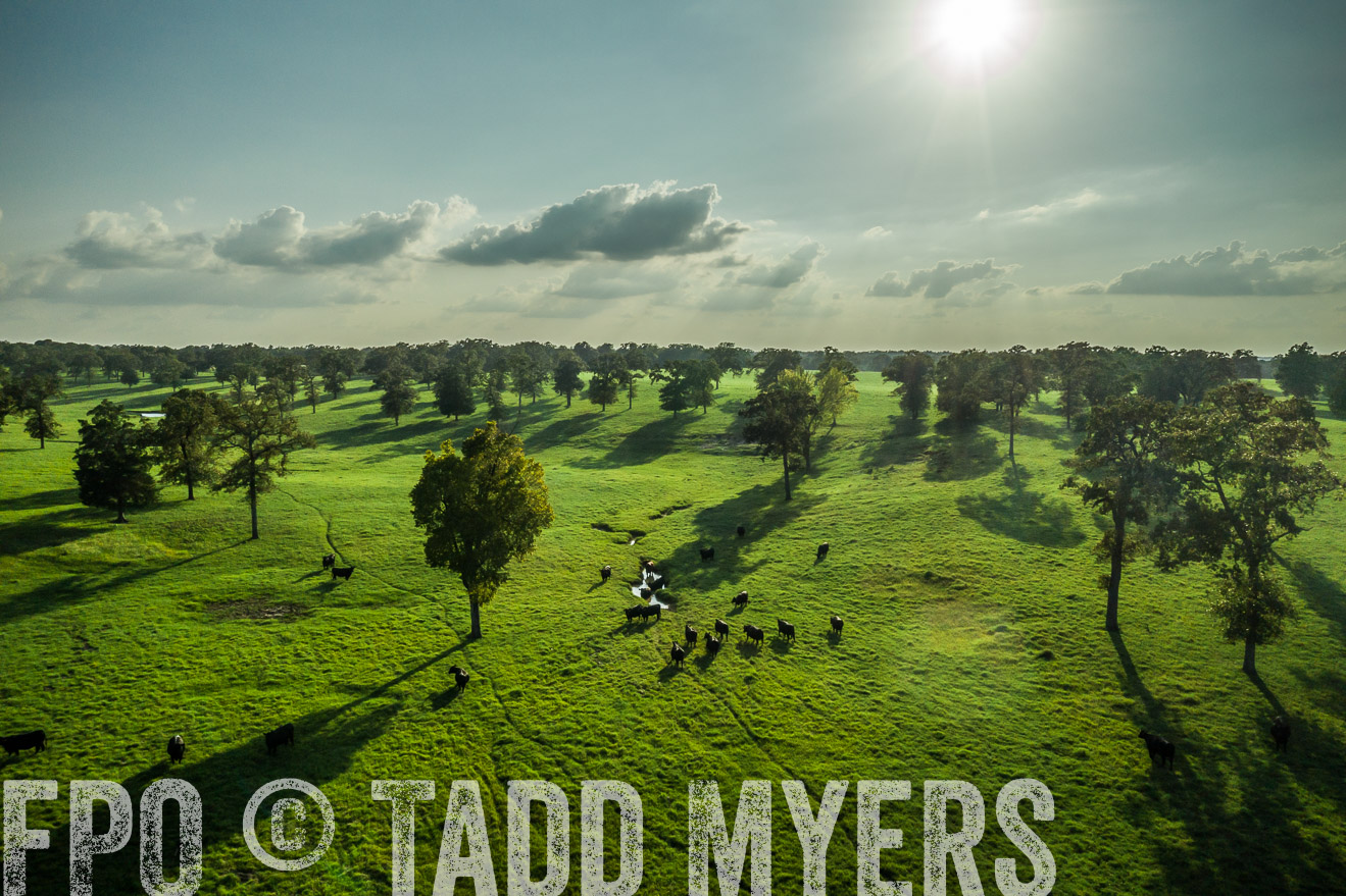 44Farms_CameronTX_Sept2020-0326