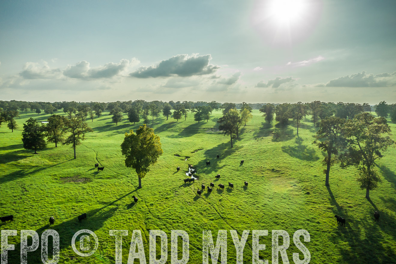 44Farms_CameronTX_Sept2020-0328