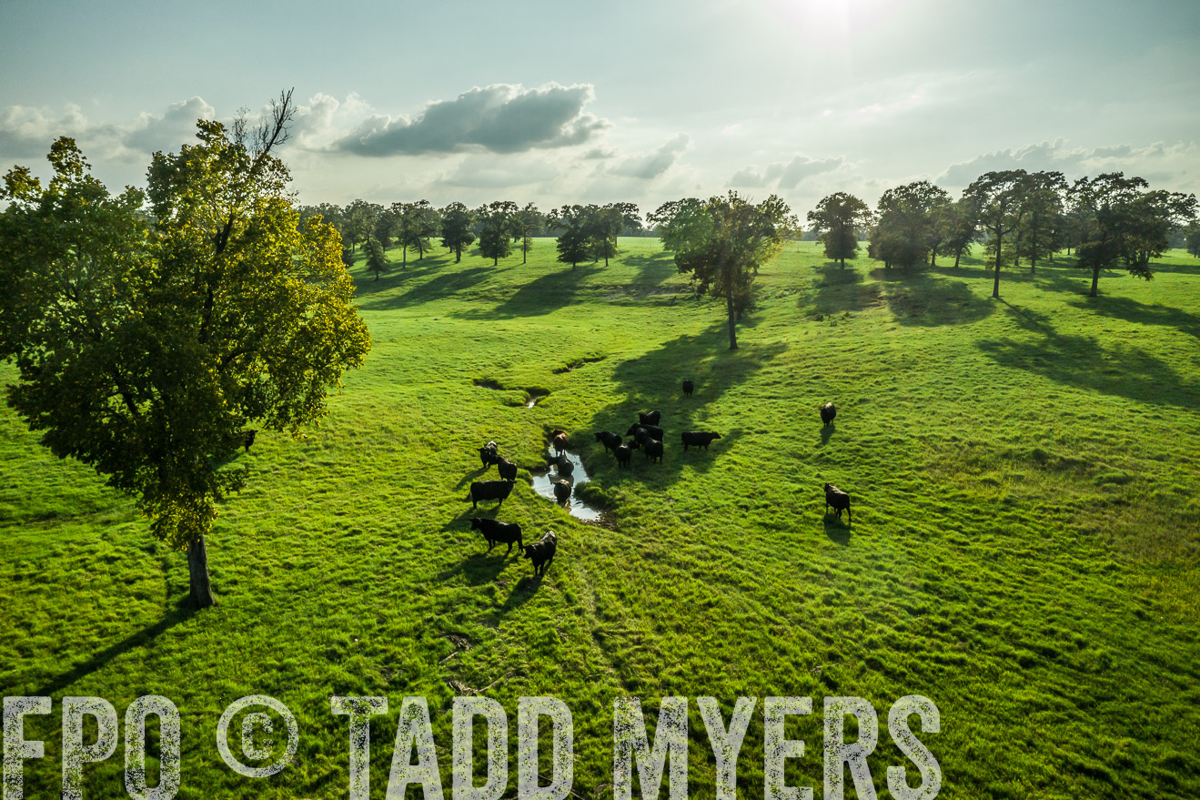 44Farms_CameronTX_Sept2020-0332