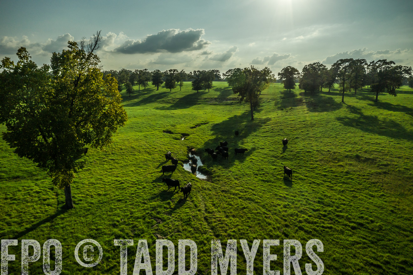 44Farms_CameronTX_Sept2020-0333