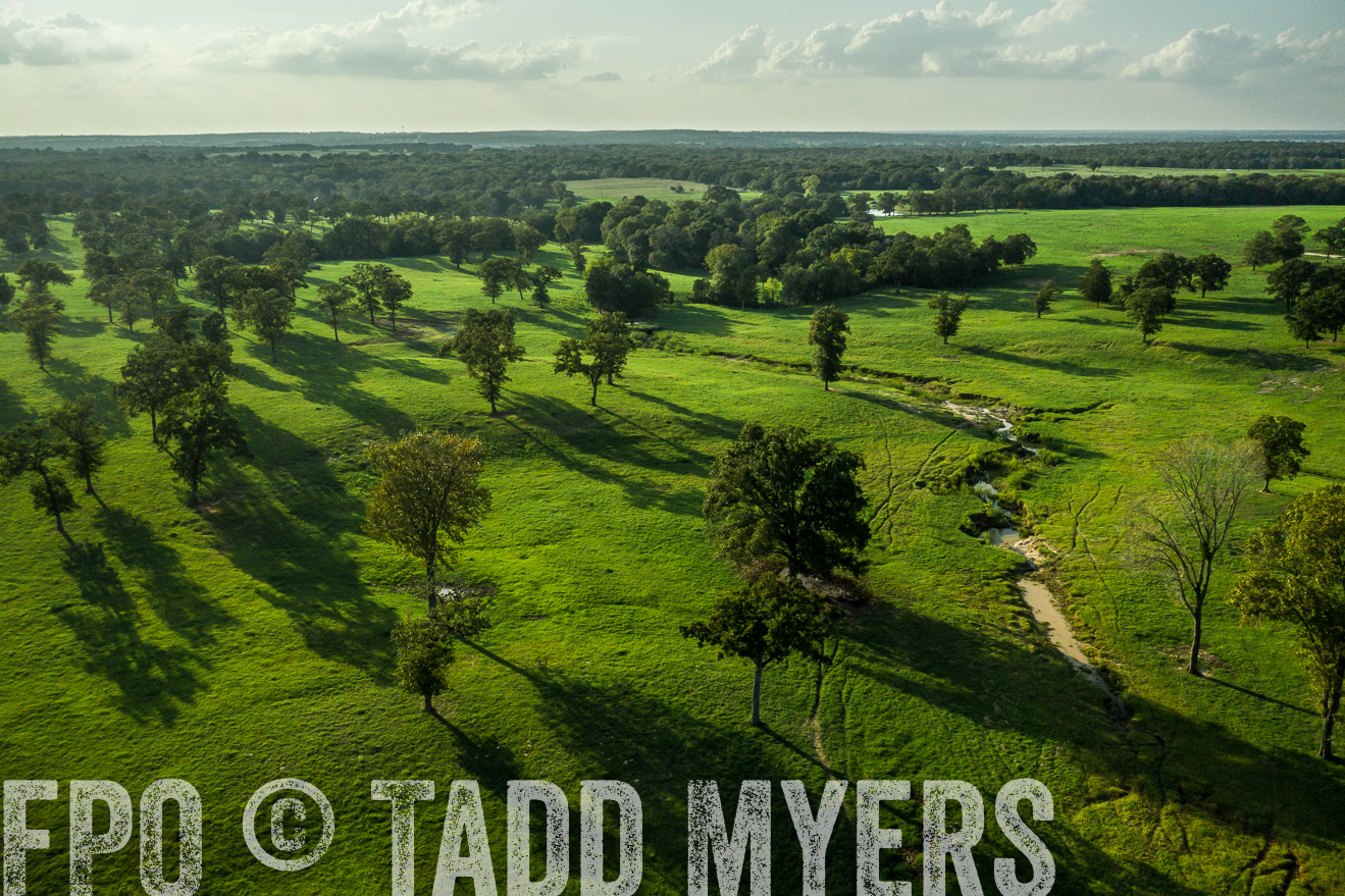 44Farms_CameronTX_Sept2020-0345